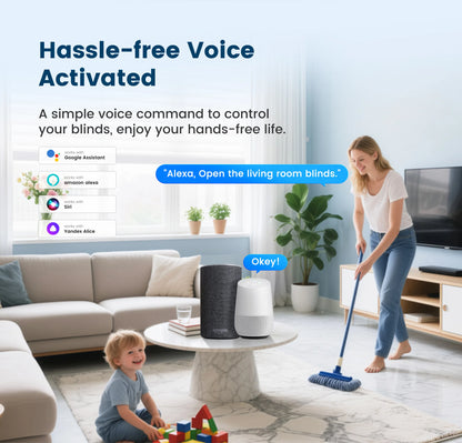 Smart WiFi Curtain Motor System